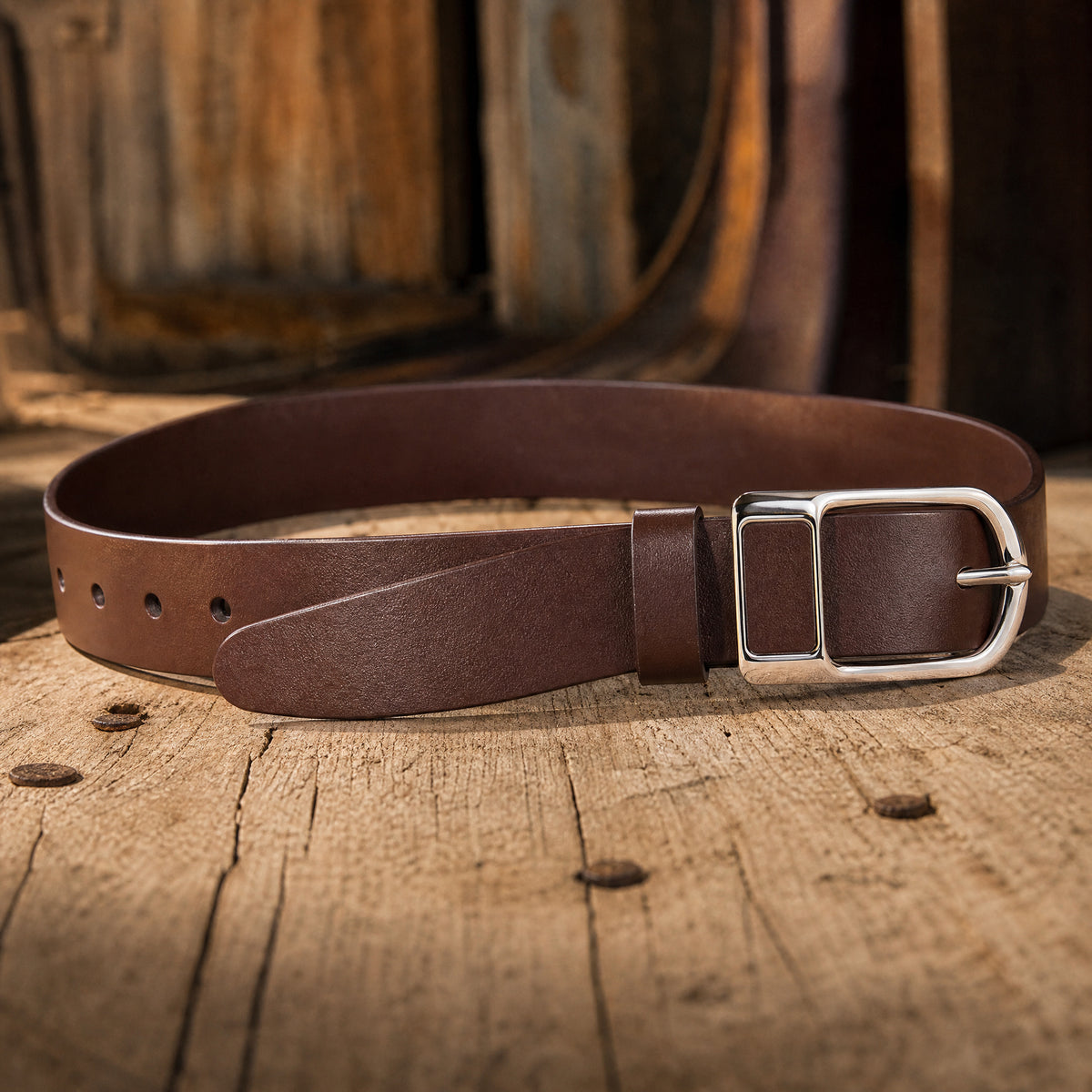 Troy Full-Grain Leather Belt in Brown Silver